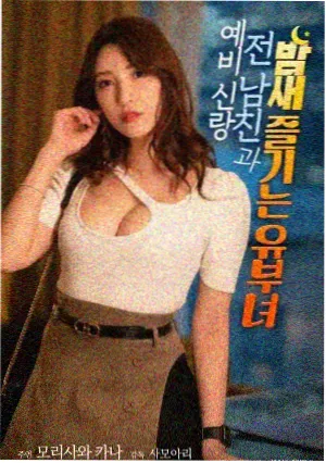 芭比之歌星公主 歌舞动画电影国语海报
